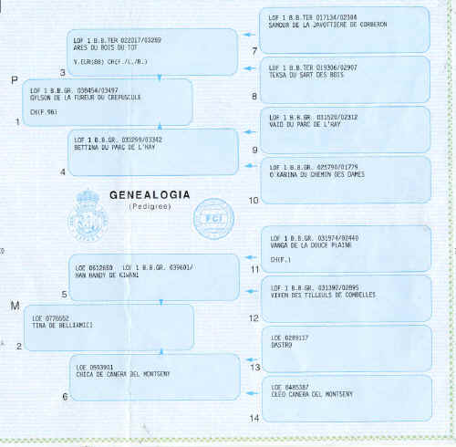 pedegree Zar solo genealogia.jpg (93996 bytes)